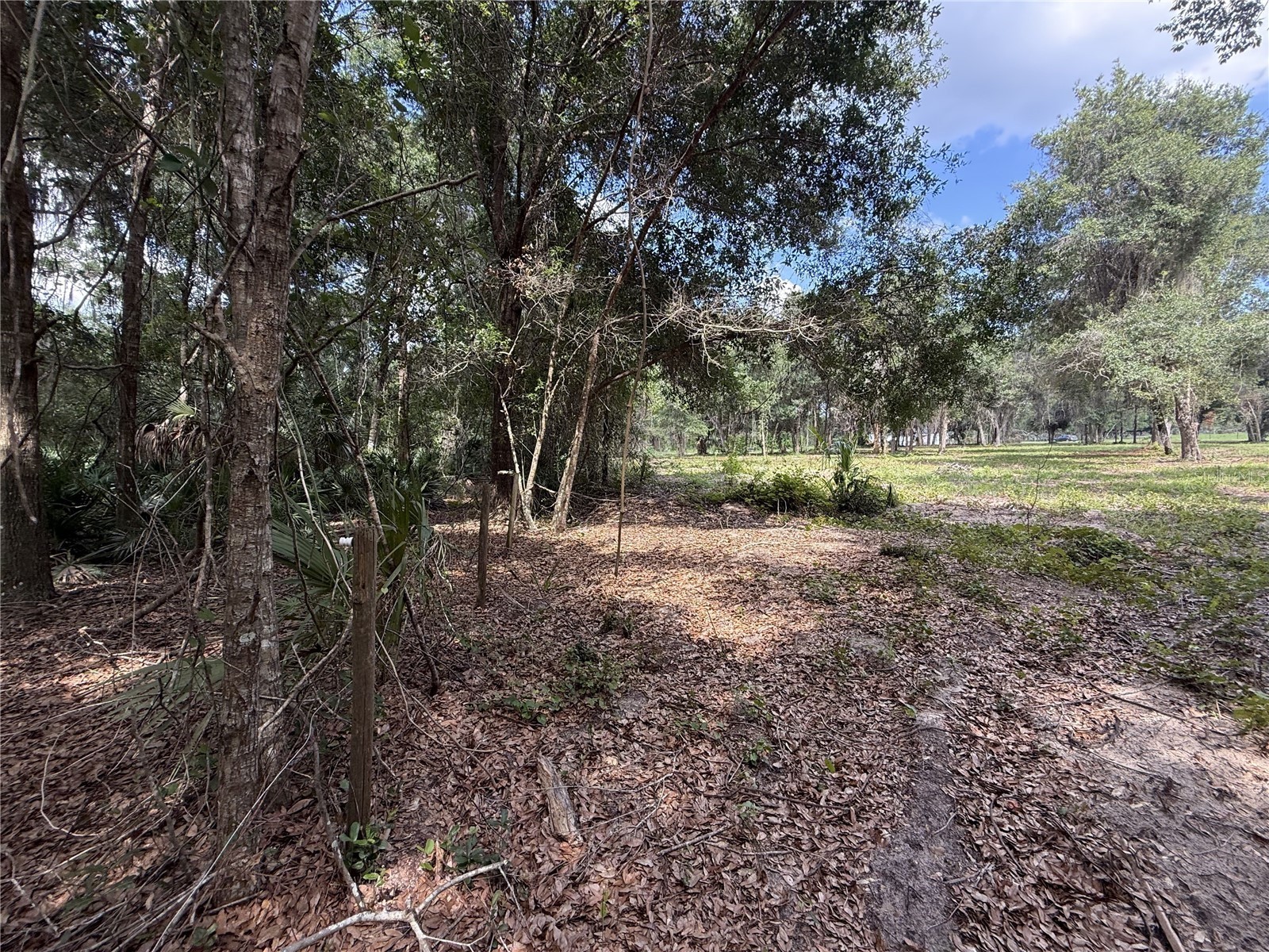 620 Cochran Road Geneva FL 32732 O6419713 image5