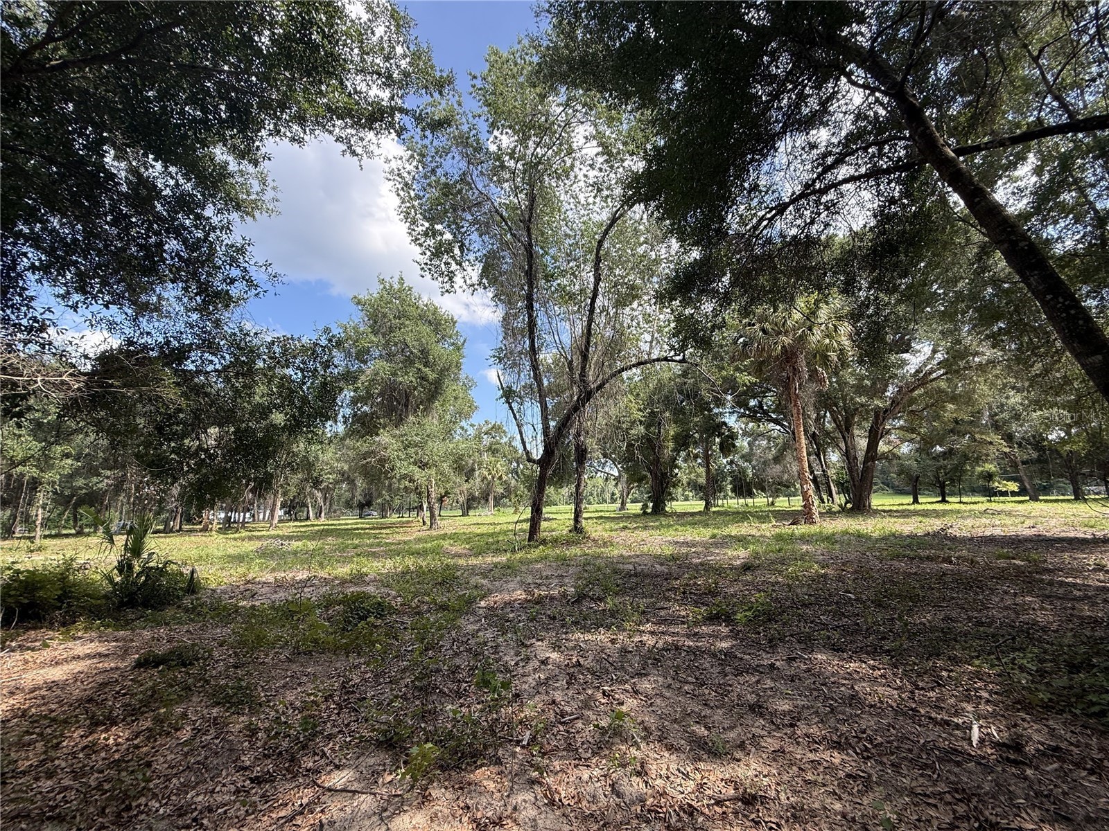 620 Cochran Road Geneva FL 32732 O6419713 image6
