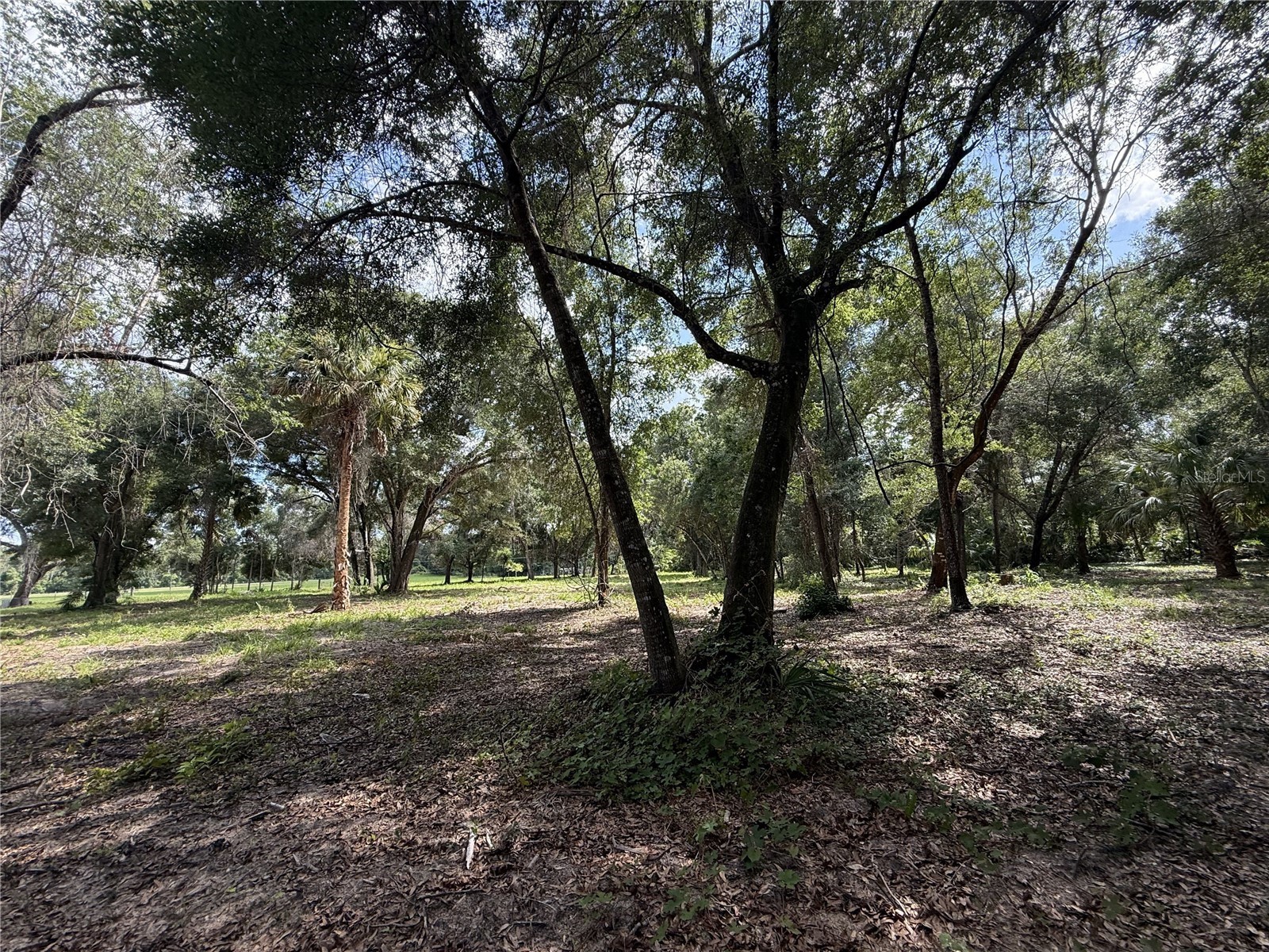 620 Cochran Road Geneva FL 32732 O6419713 image7