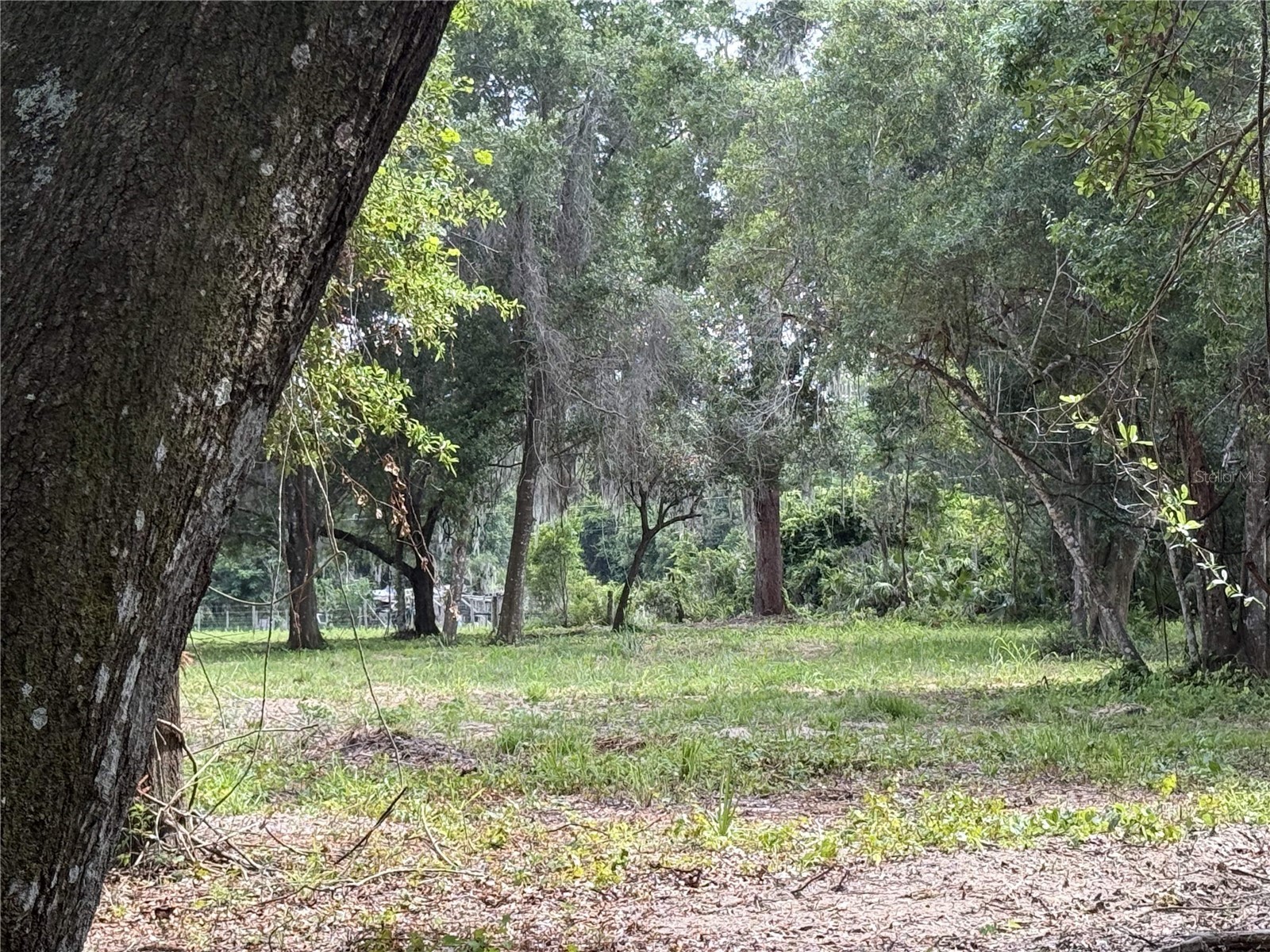 620 Cochran Road Geneva FL 32732 O6419713 image8