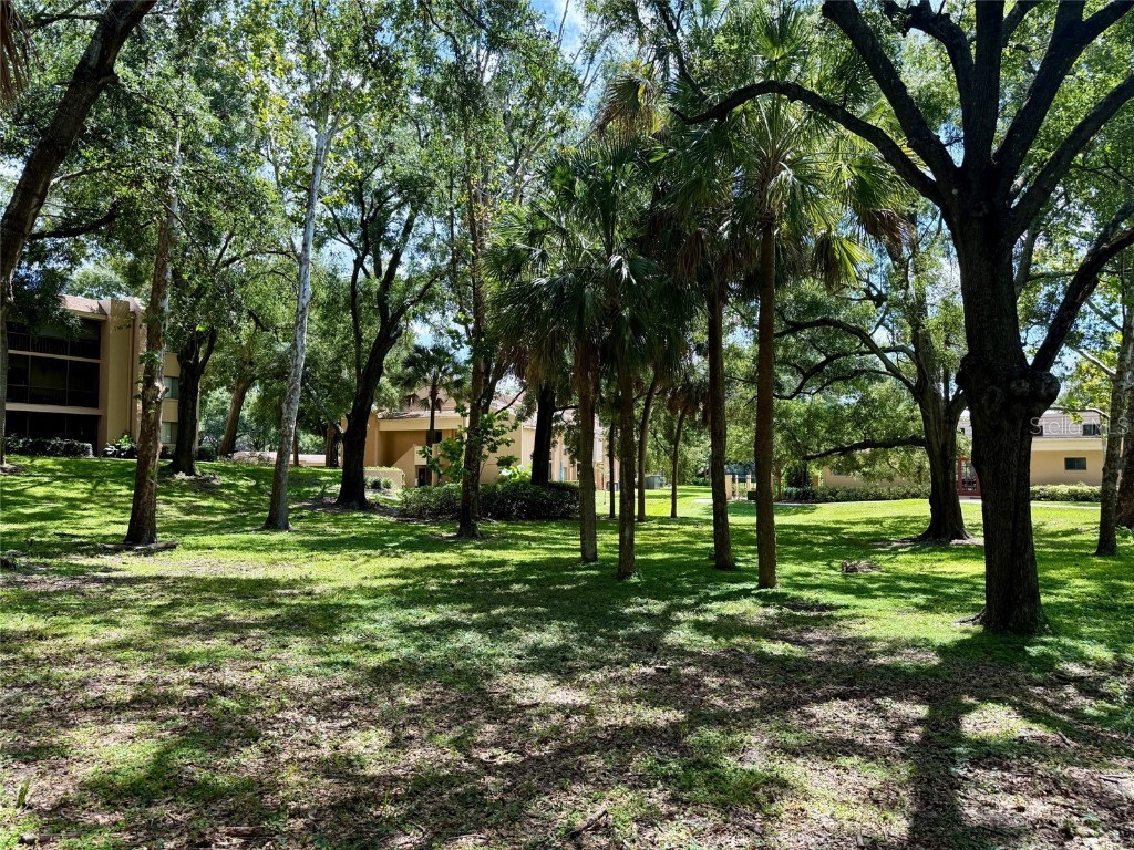 620 Cranes Way #207 Altamonte Springs FL 32701 O6344107 image22