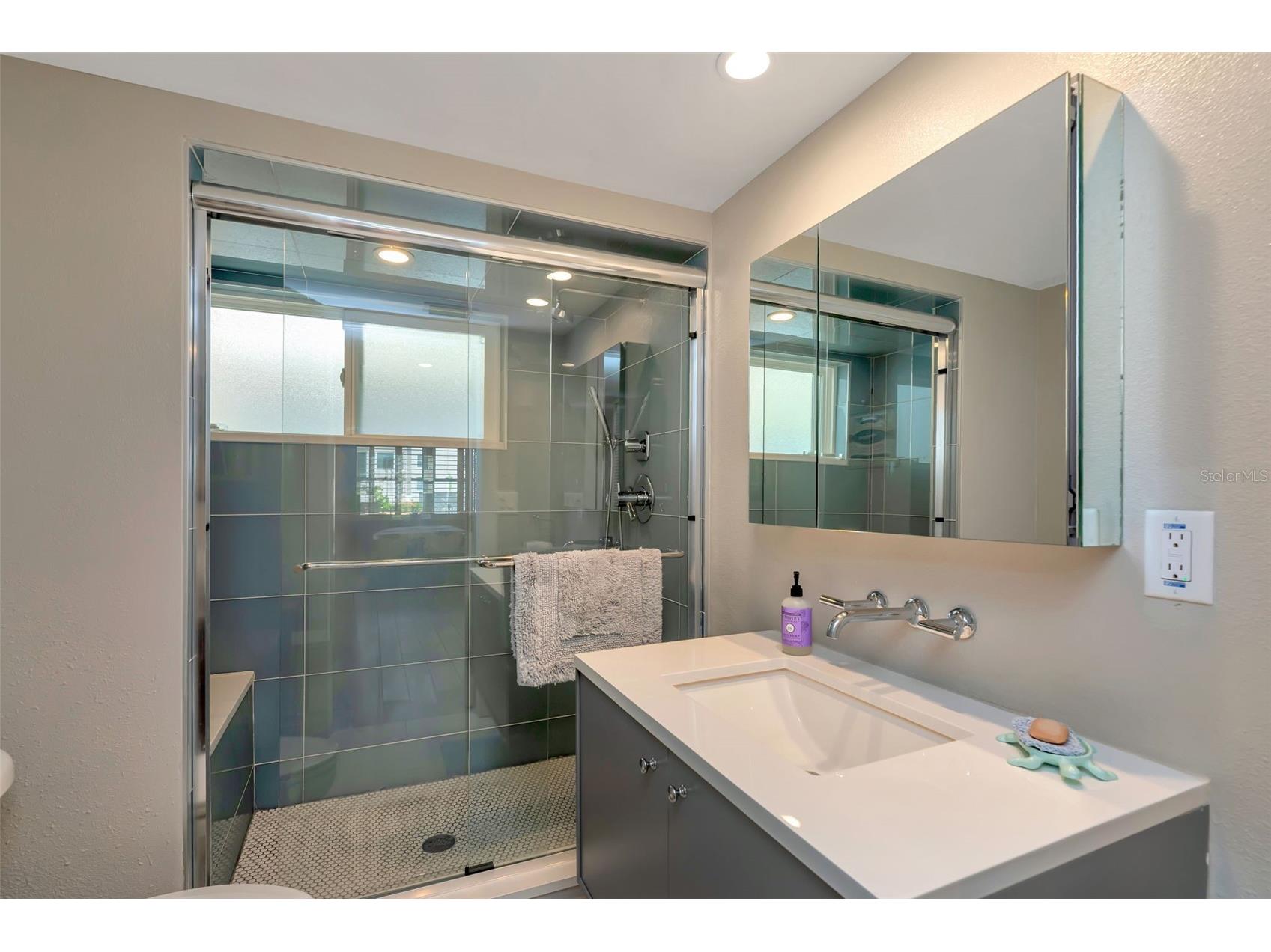 620 Edgewater Drive #102 Dunedin FL 34698 TB8492715 image19