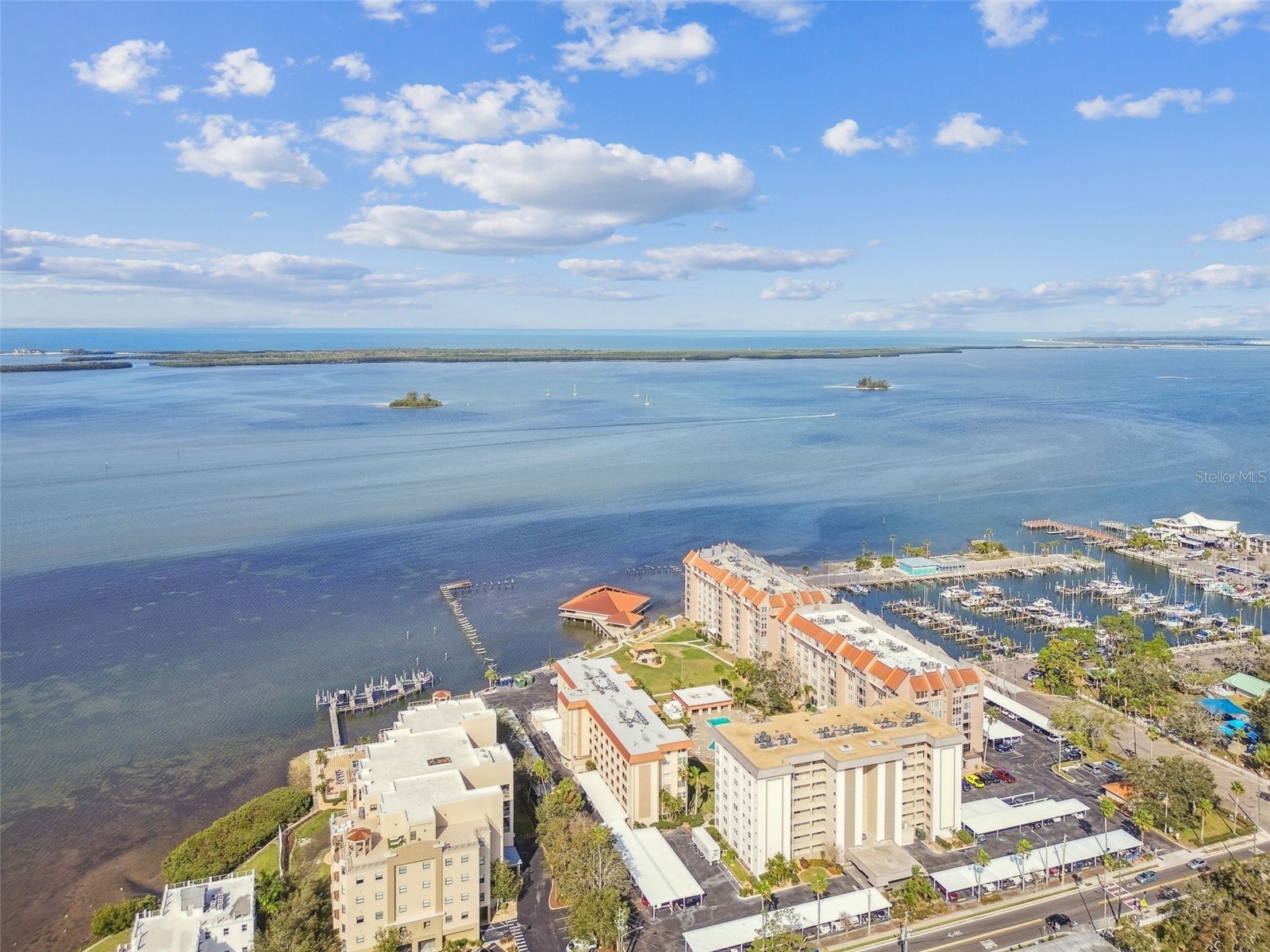 620 Edgewater Drive #204 Dunedin FL 34698 TB8519720 image16