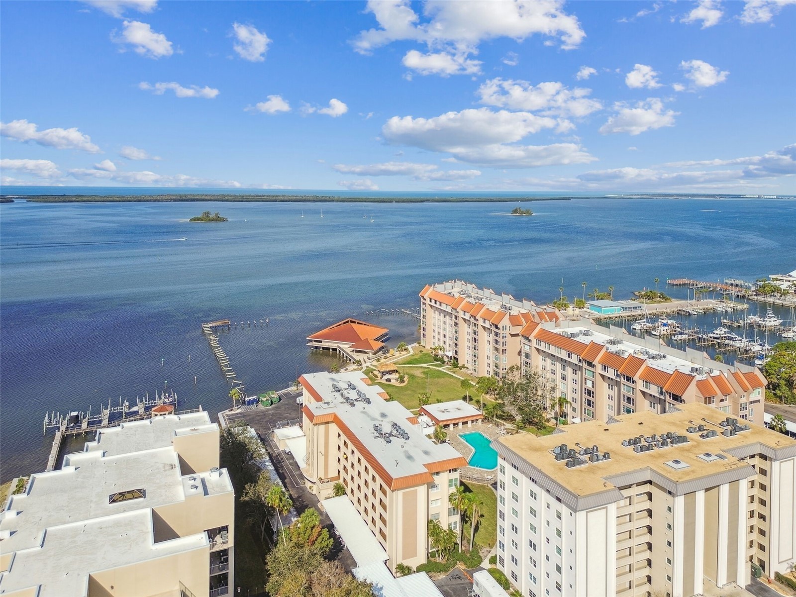 620 Edgewater Drive #204 Dunedin FL 34698 TB8529548 image1