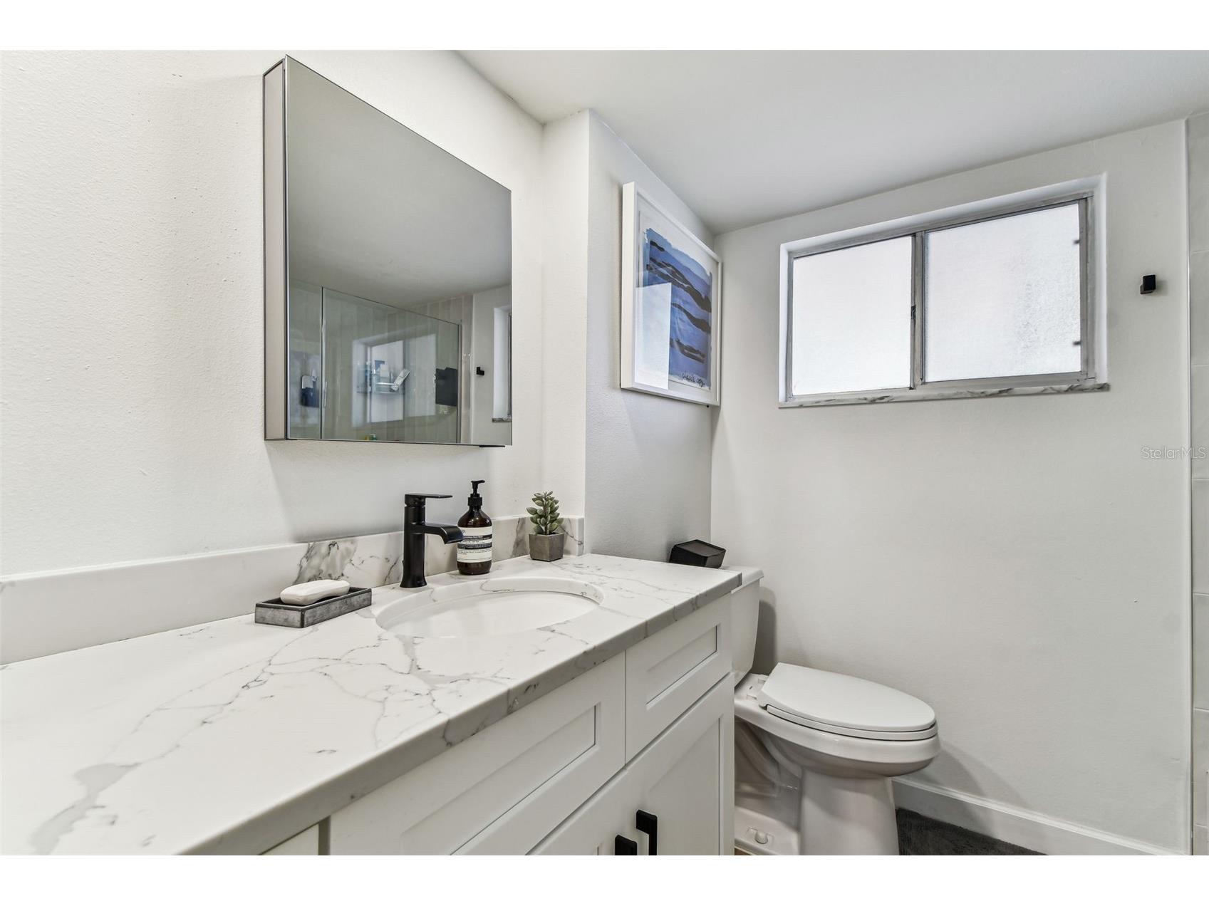620 Edgewater Drive #204 Dunedin FL 34698 TB8529548 image10