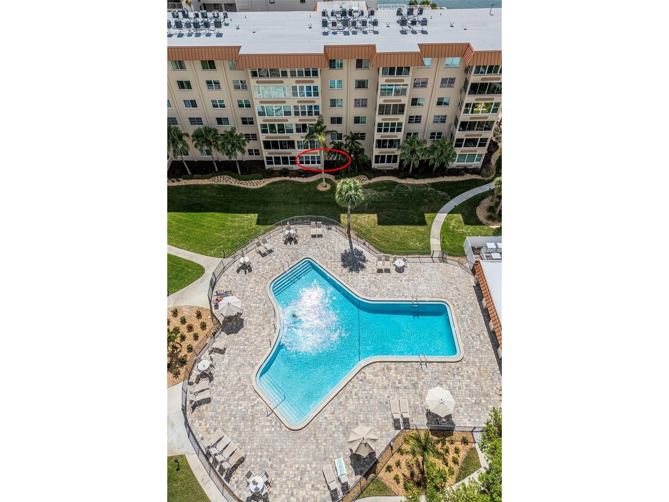 620 Edgewater Drives #103 Dunedin FL 34698 TB8484238 image20