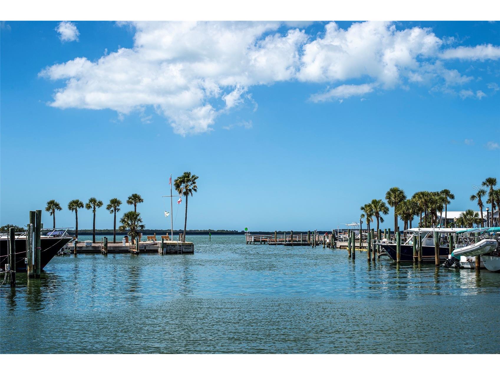 620 Edgewater Drives #103 Dunedin FL 34698 TB8484238 image26