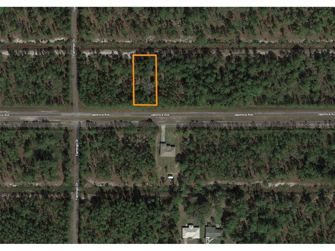 620 Japonica Drive Indian Lake Estates FL 33855 - LAKE WALK IN WATER T3401715 image1