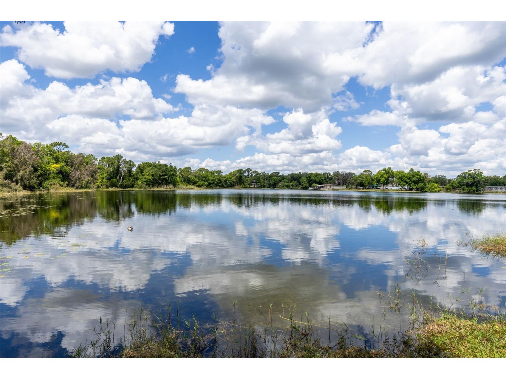 620 Lake Drive Oviedo FL 32766 - LAKE CATHERINE O6401724 image27