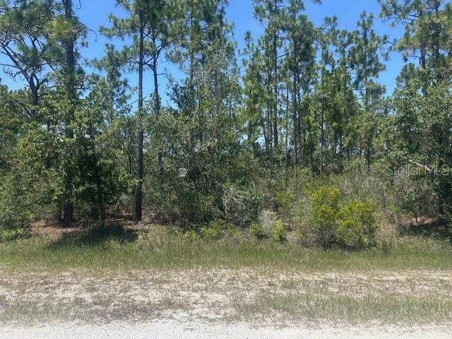 620 Orchid Drive Indian Lake Estates FL 33855 - LAKE WALK-IN-WATER P4935665 image1