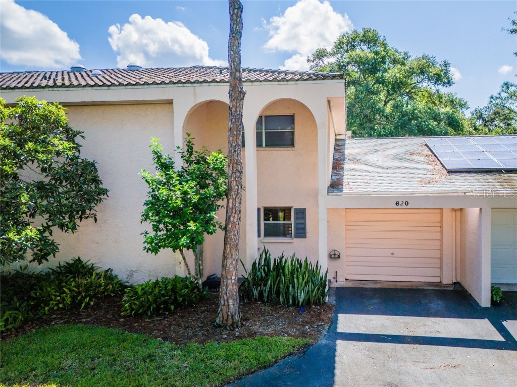 620 Palmer Drive Palm Harbor FL 34685 T3472065 image1