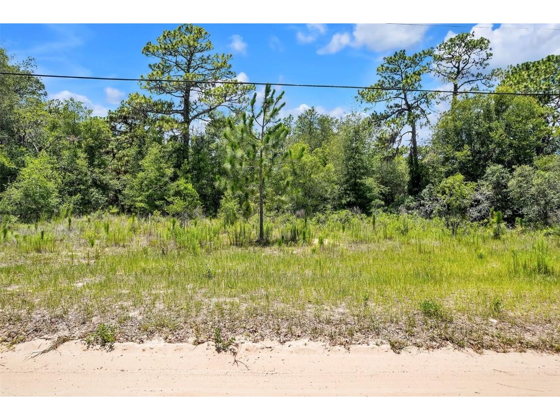 620 S Fairlane Terrace Lecanto FL 34461 OM703581 image1