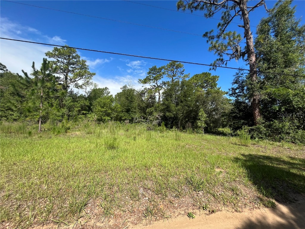 620 S Fairlane Terrace Lecanto FL 34461 OM703581 image10