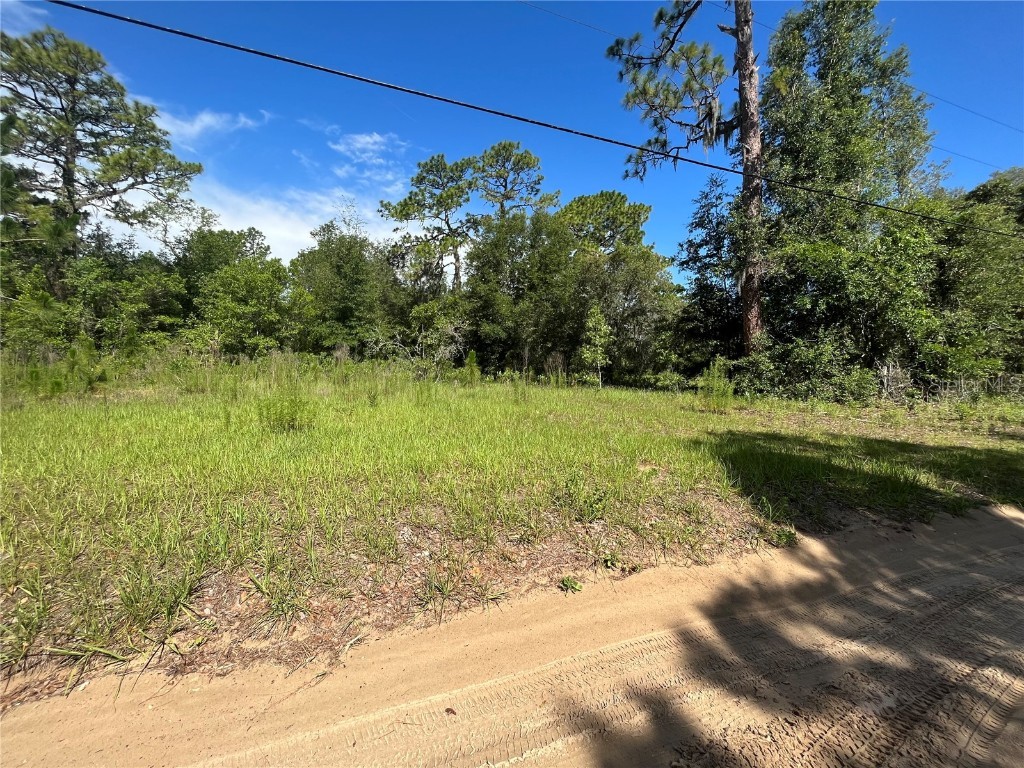 620 S Fairlane Terrace Lecanto FL 34461 OM703581 image11