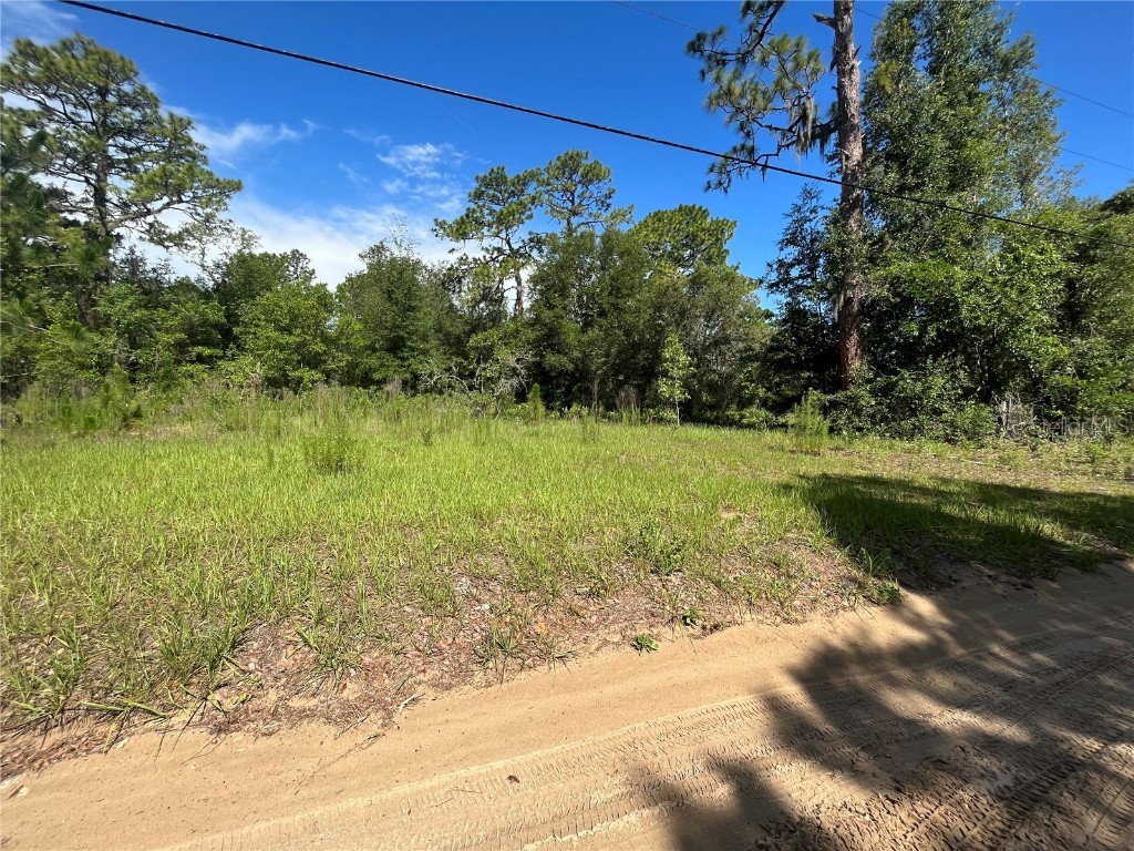 620 S Fairlane Terrace Lecanto FL 34461 OM703581 image12