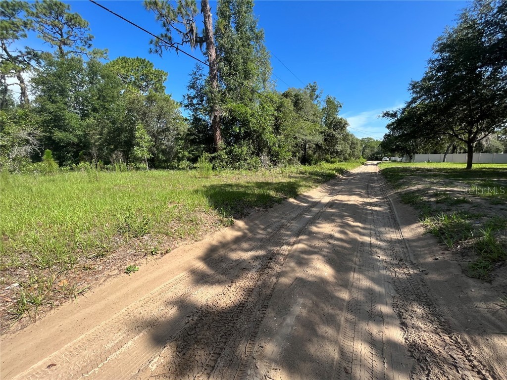 620 S Fairlane Terrace Lecanto FL 34461 OM703581 image13