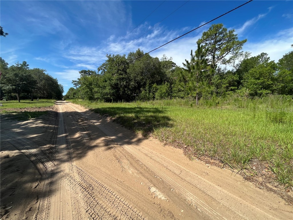 620 S Fairlane Terrace Lecanto FL 34461 OM703581 image14