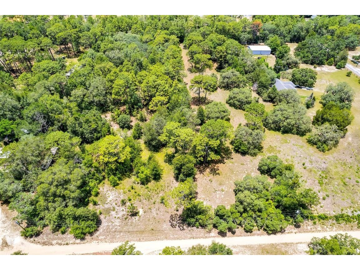 620 S Fairlane Terrace Lecanto FL 34461 OM703581 image20