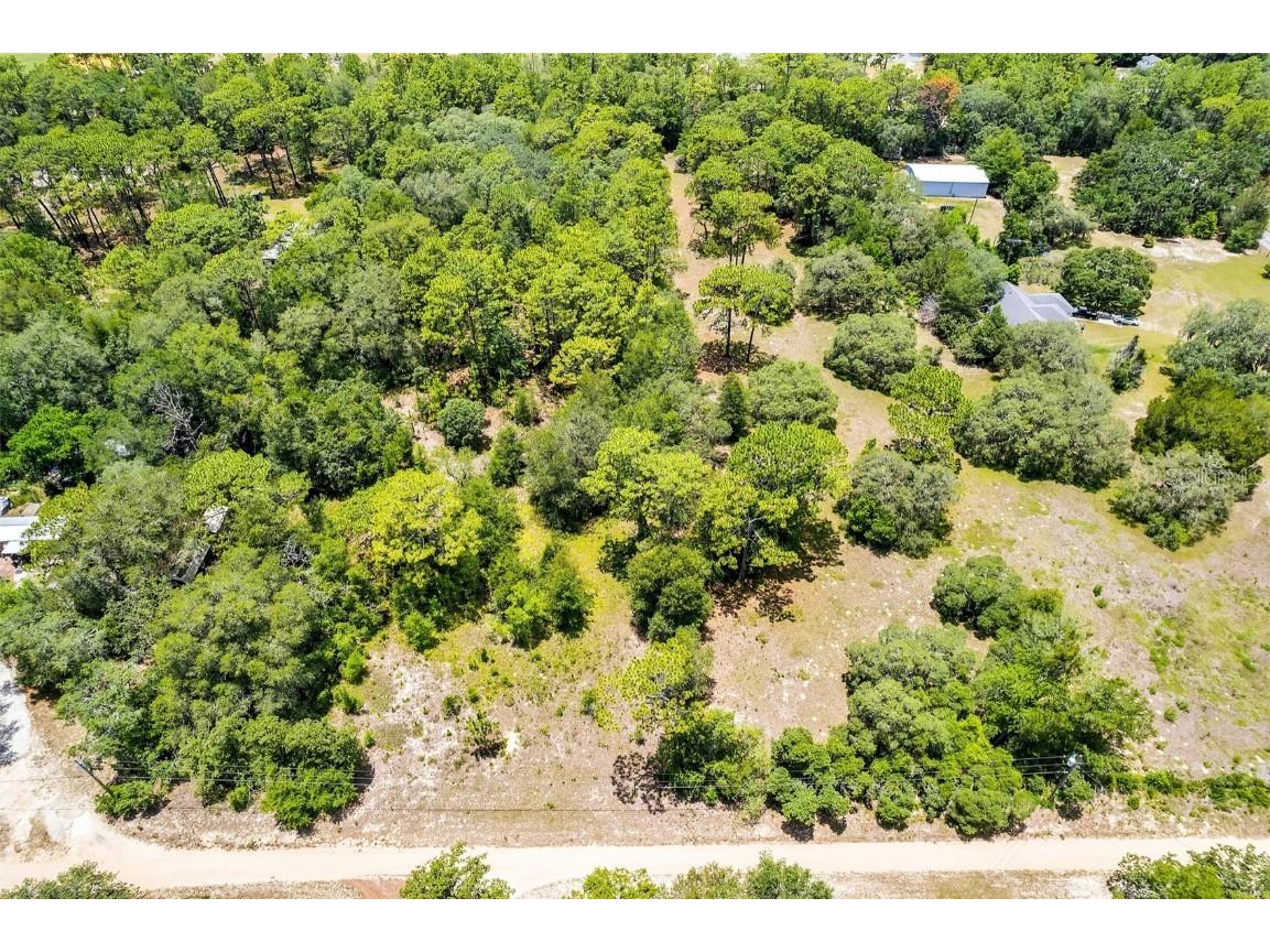 620 S Fairlane Terrace Lecanto FL 34461 OM703581 image23