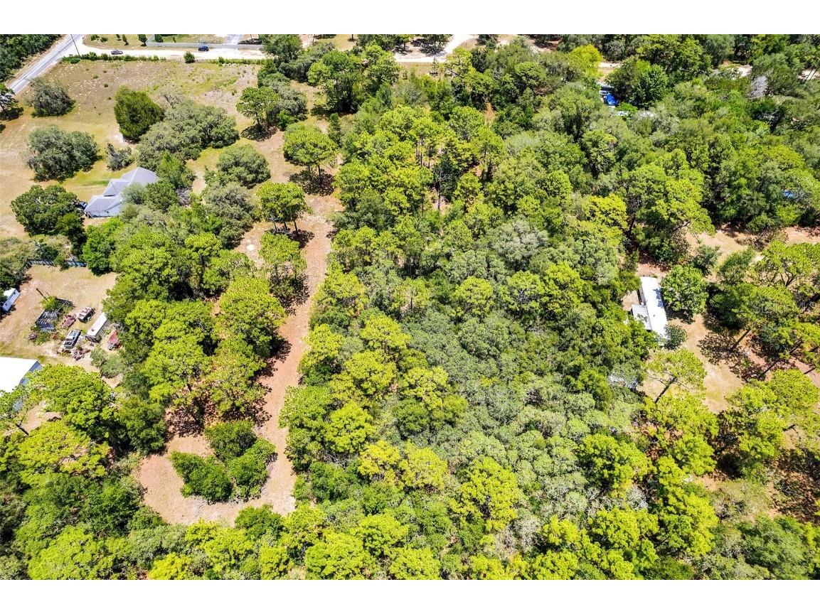 620 S Fairlane Terrace Lecanto FL 34461 OM703581 image25