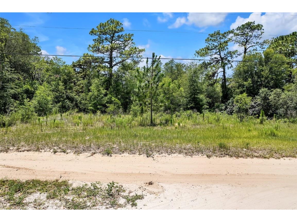 620 S Fairlane Terrace Lecanto FL 34461 OM703581 image3