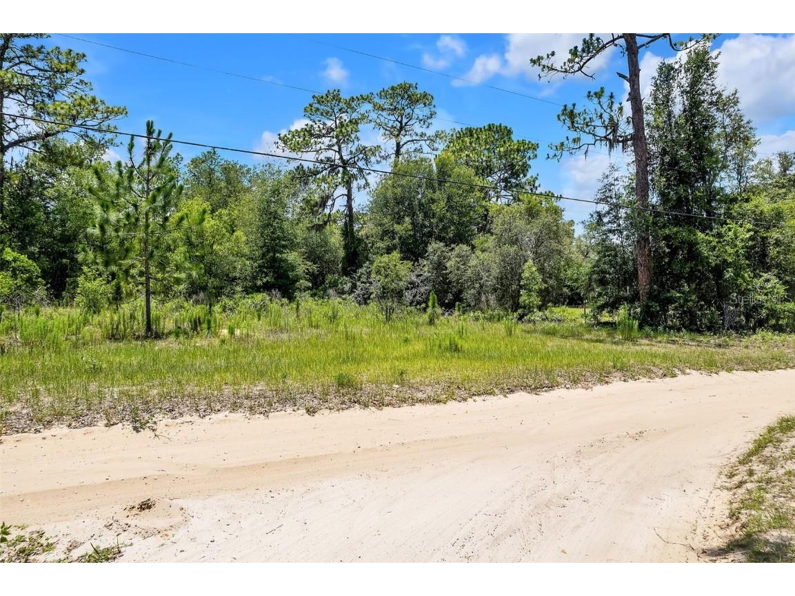 620 S Fairlane Terrace Lecanto FL 34461 OM703581 image4