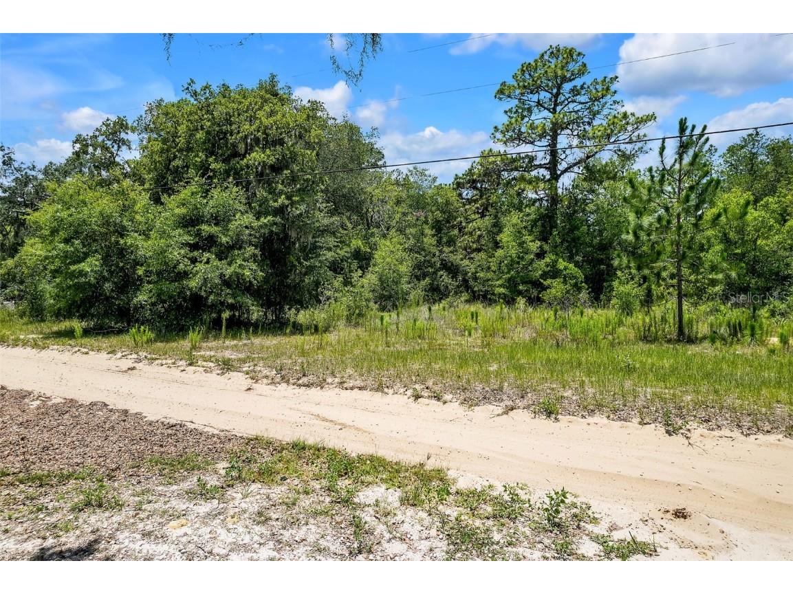 620 S Fairlane Terrace Lecanto FL 34461 OM703581 image5