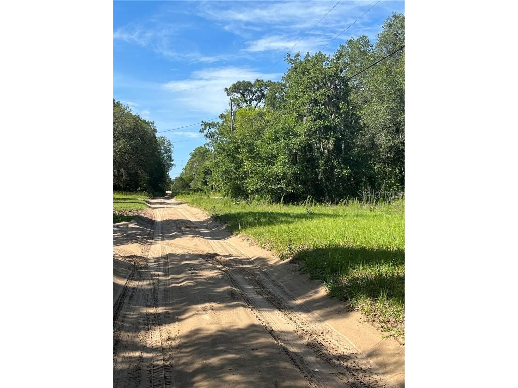 620 S Fairlane Terrace Lecanto FL 34461 OM703581 image7