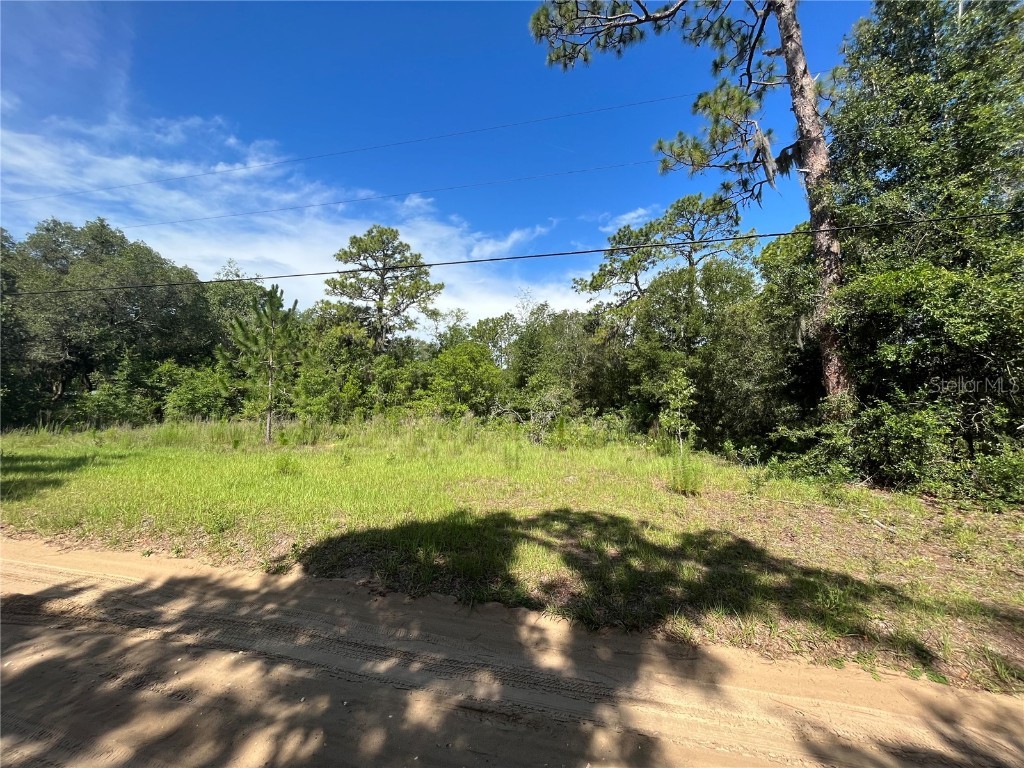 620 S Fairlane Terrace Lecanto FL 34461 OM703581 image8