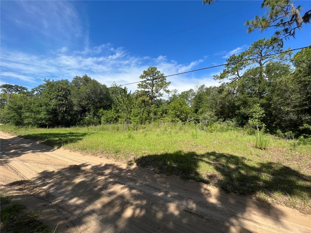 620 S Fairlane Terrace Lecanto FL 34461 OM703581 image9