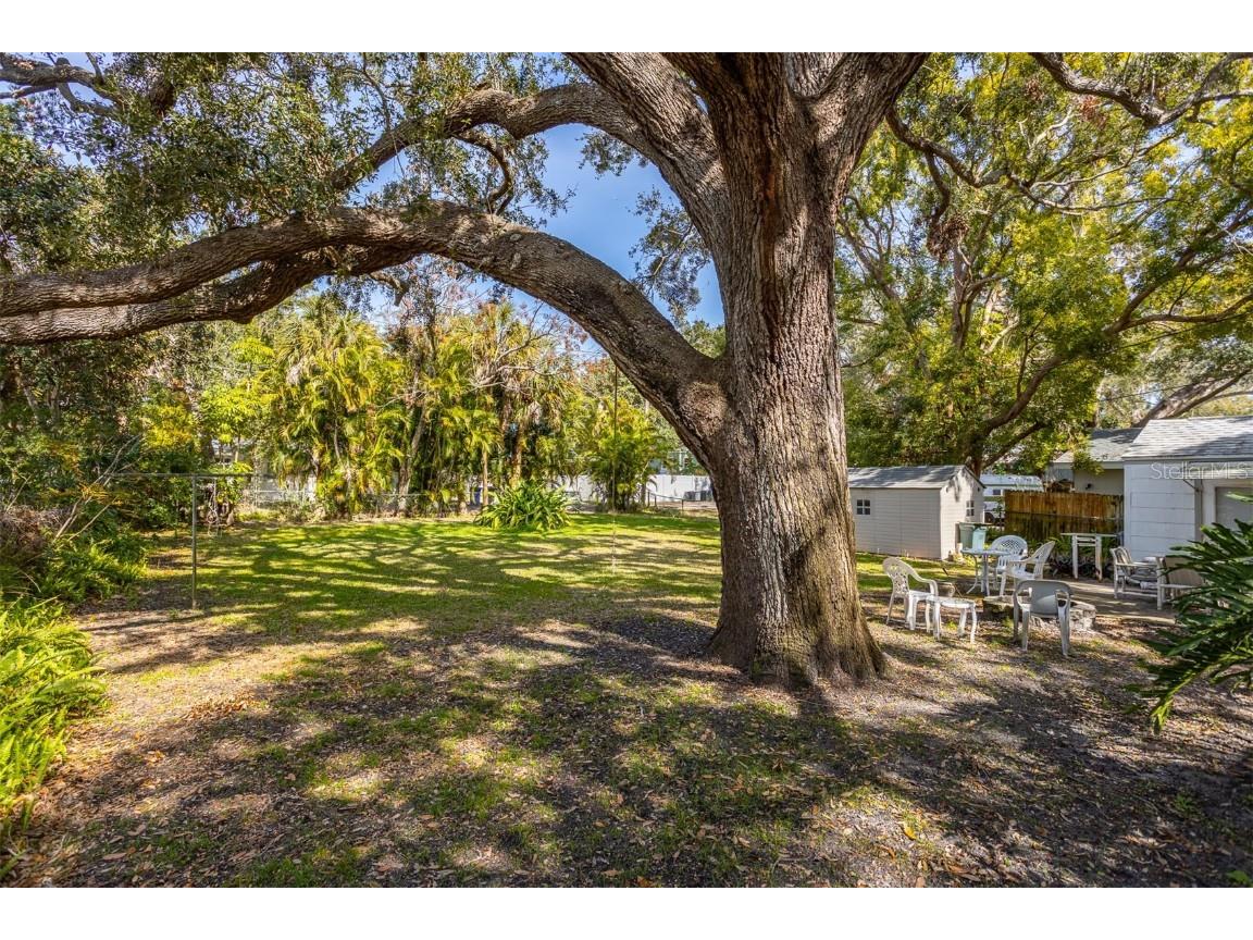 620 Scotland Street Dunedin FL 34698 TB8347242 image19