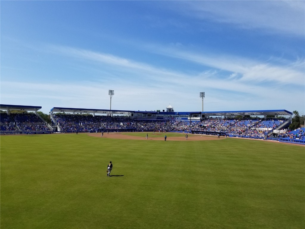 620 Scotland Street Dunedin FL 34698 TB8347242 image42