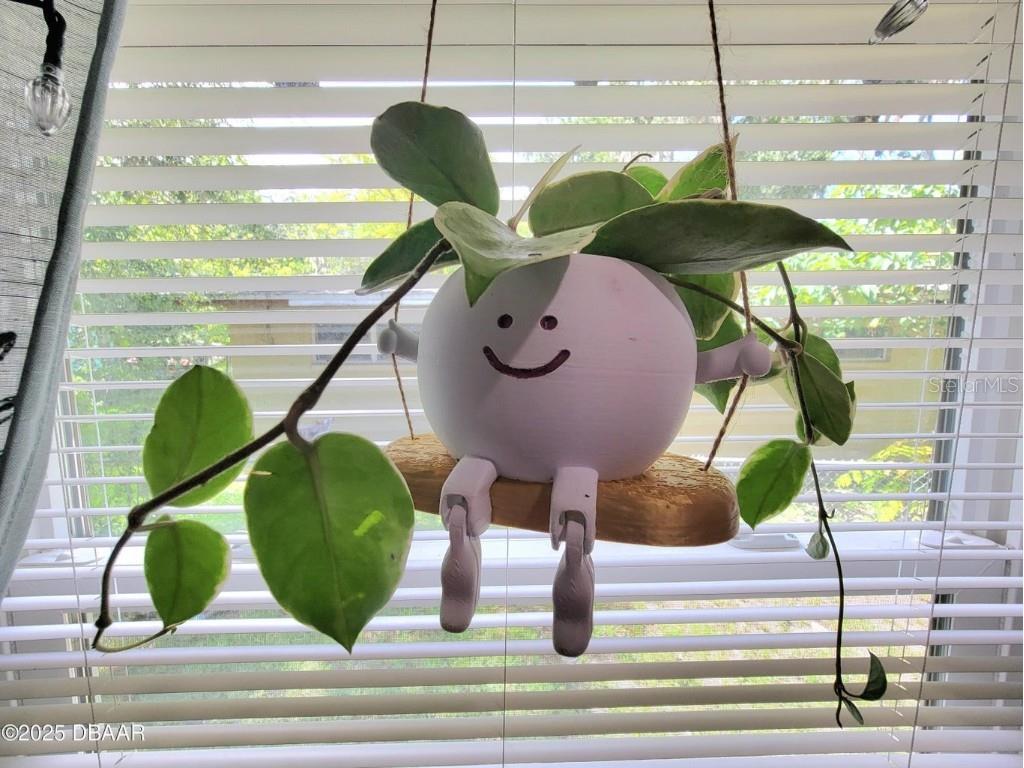 620 Washington Street Daytona Beach FL 32114 O6340403 image9