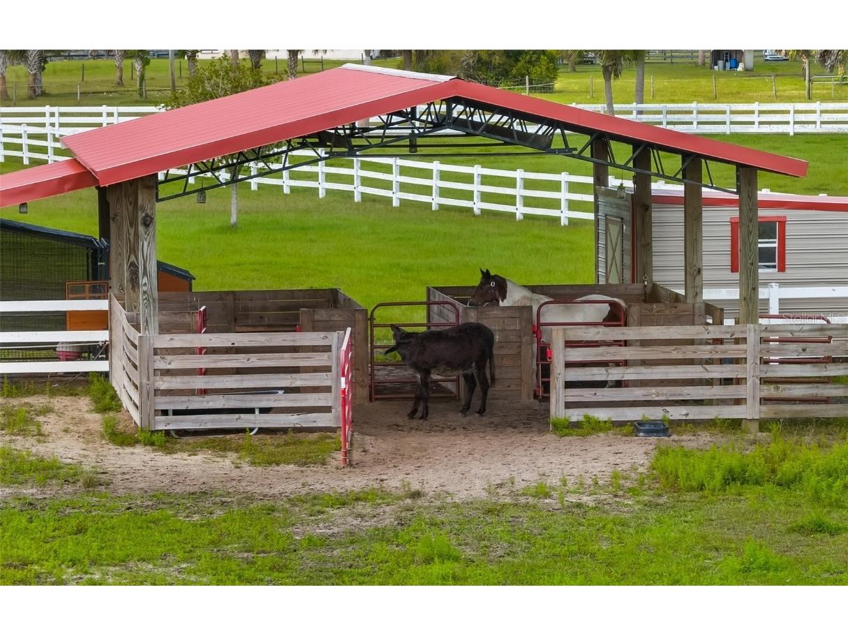 620 Willow Pond Lane Osteen FL 32764 O6356800 image66