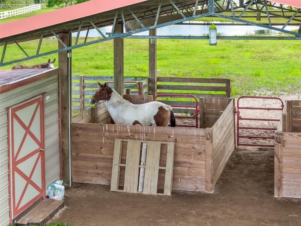 620 Willow Pond Lane Osteen FL 32764 O6356800 image67