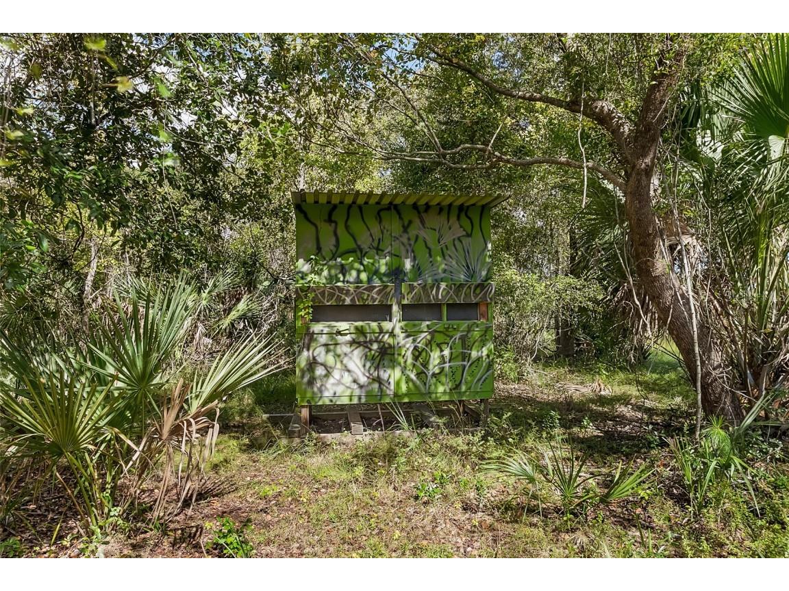 620 Willow Pond Lane Osteen FL 32764 O6356800 image93