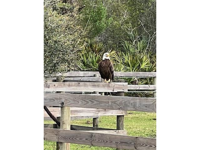 620 Willow Pond Lane Osteen FL 32764 O6356800 image97