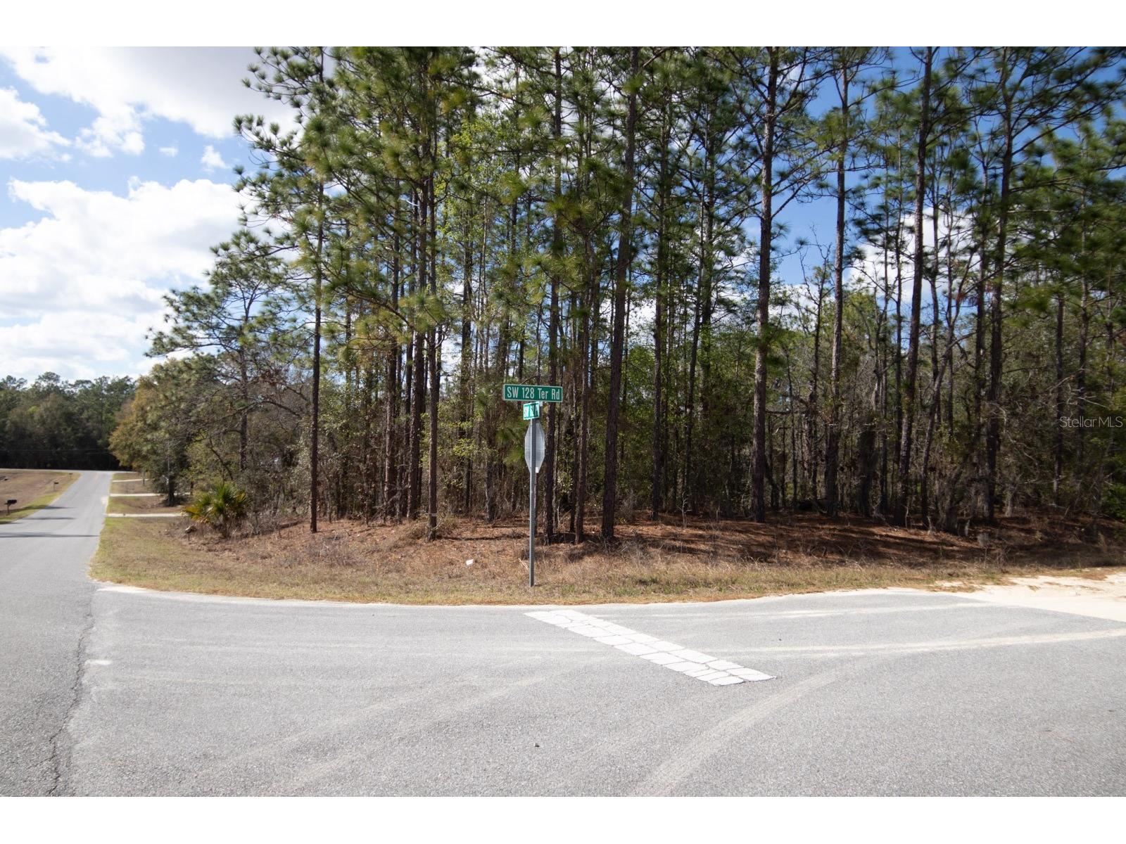 6200 SW 128th Terrace Road Ocala FL 34481 G5108944 image1