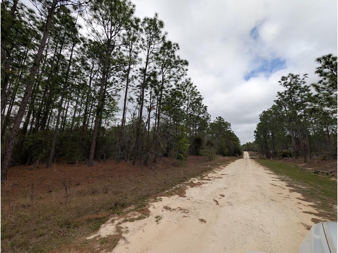 SW 62nd Place Ocala FL 34481 OM723160 image4