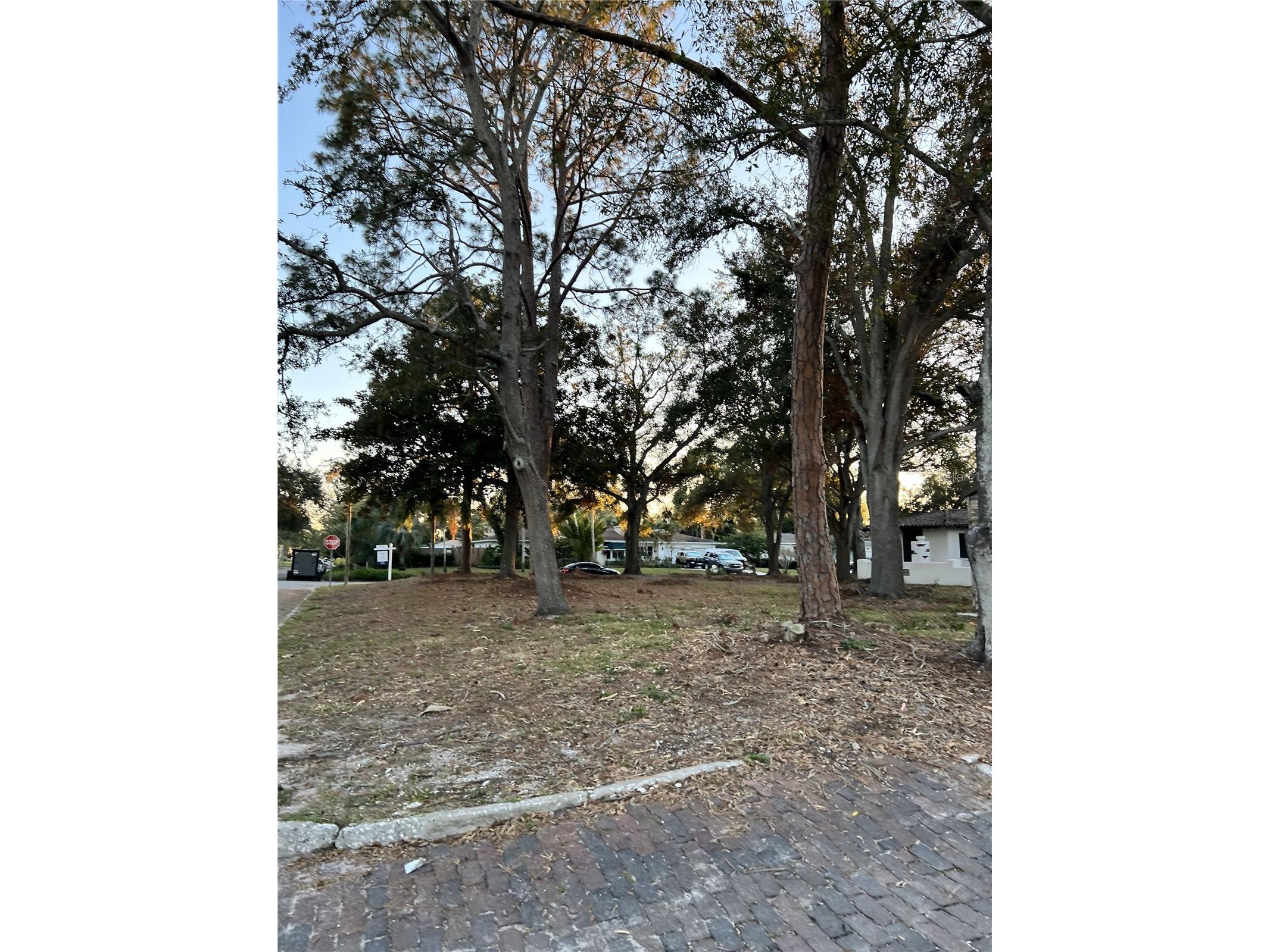 6201 11th Avenue S Gulfport FL 33707 TB8464061 image4