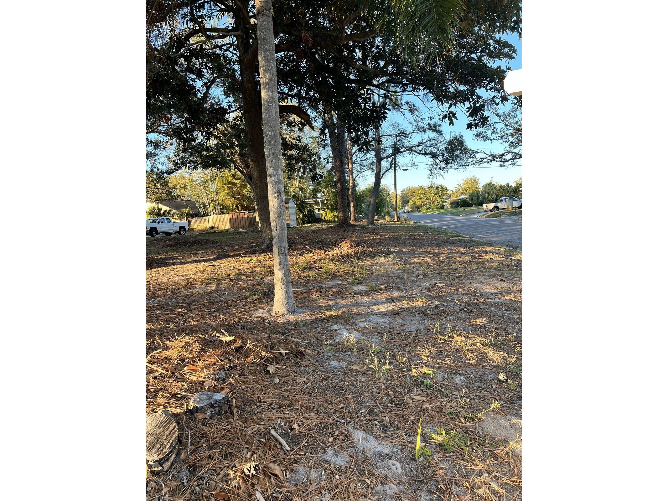 6201 11th Avenue S Gulfport FL 33707 TB8464061 image6