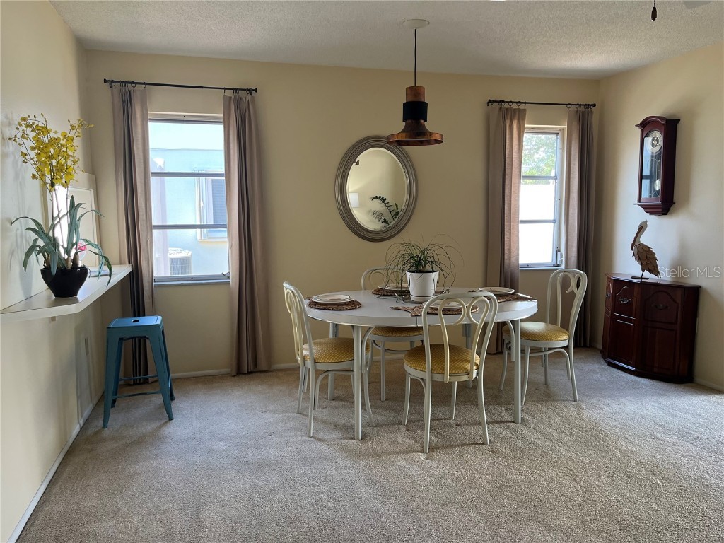 6201 Green View Drive #130 Sarasota FL 34231 A4583677 image17