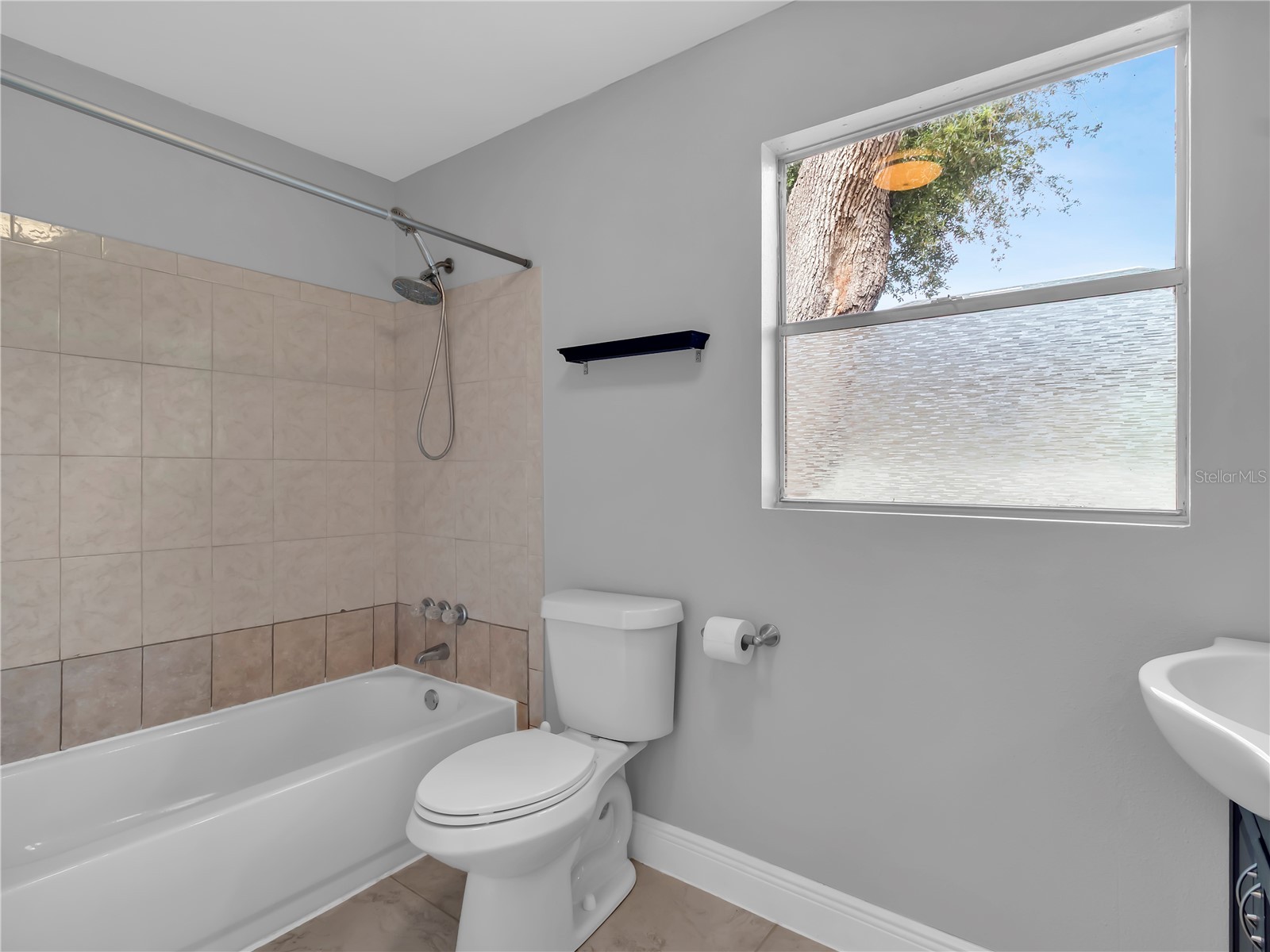 6201 Theresa Street Tampa FL 33615 TB8506530 image29