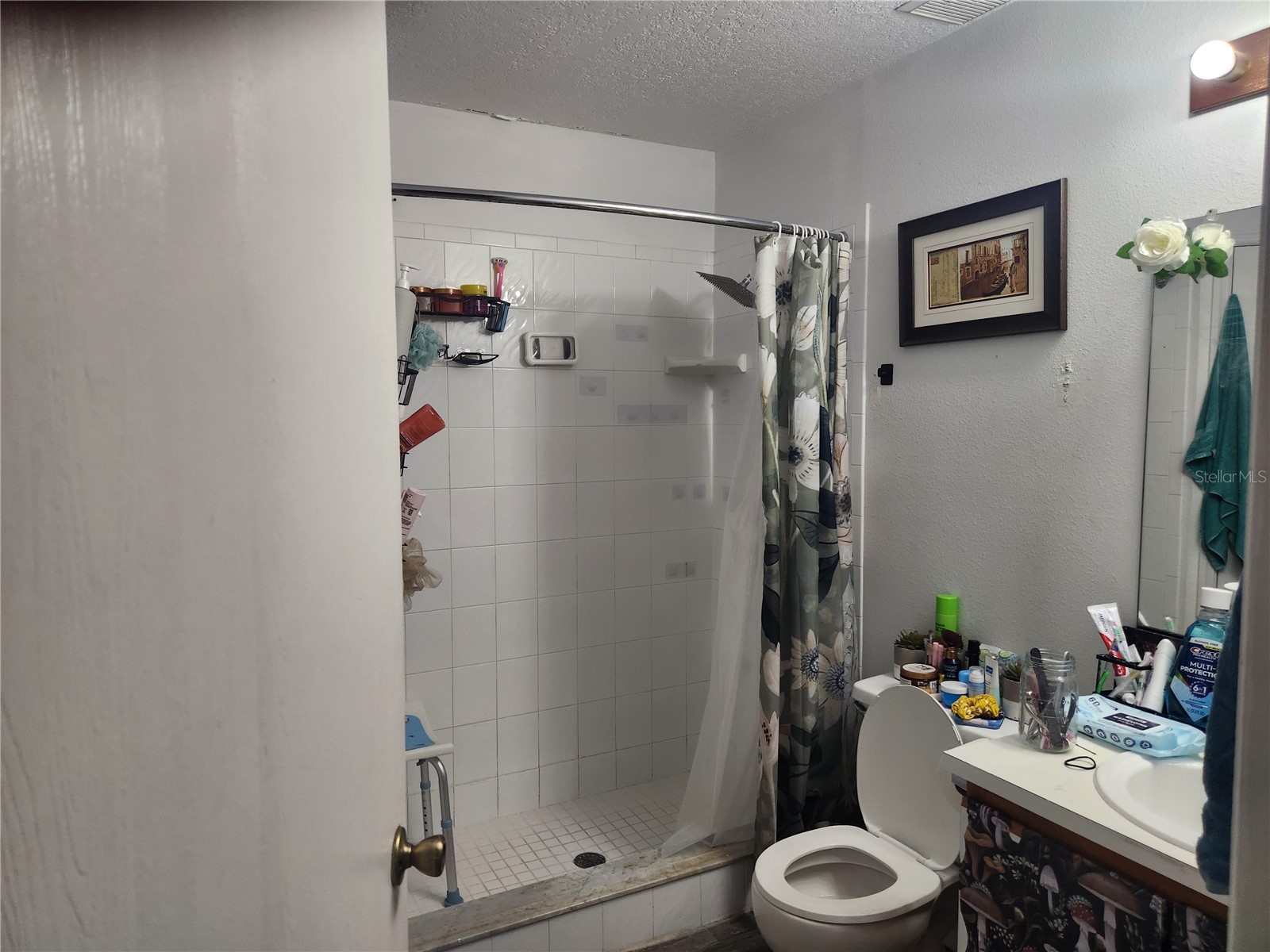 6202 Piedmont Drive Spring Hill FL 34606 TB8524128 image10
