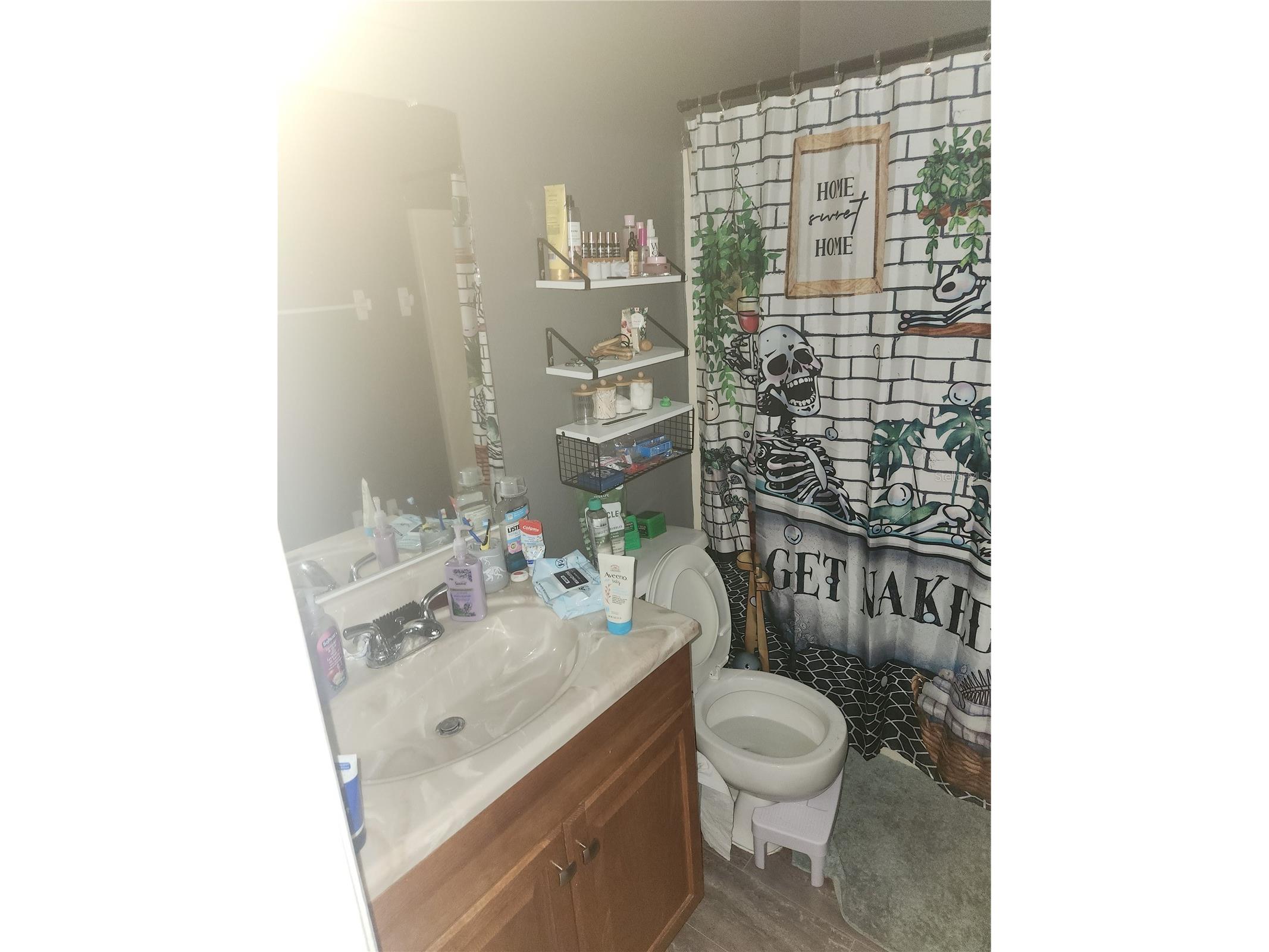 6202 Piedmont Drive Spring Hill FL 34606 TB8524128 image11