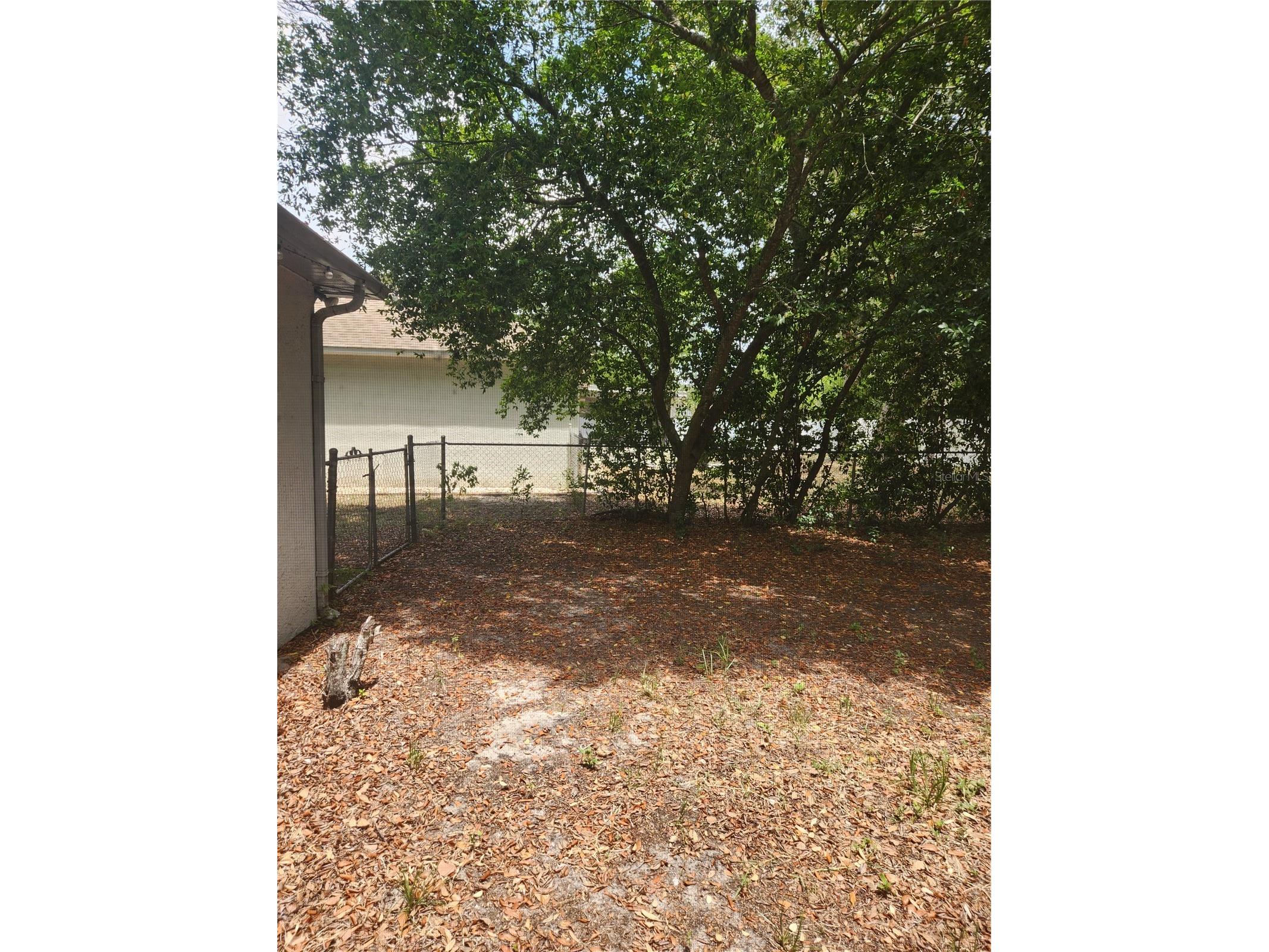 6202 Piedmont Drive Spring Hill FL 34606 TB8524128 image13