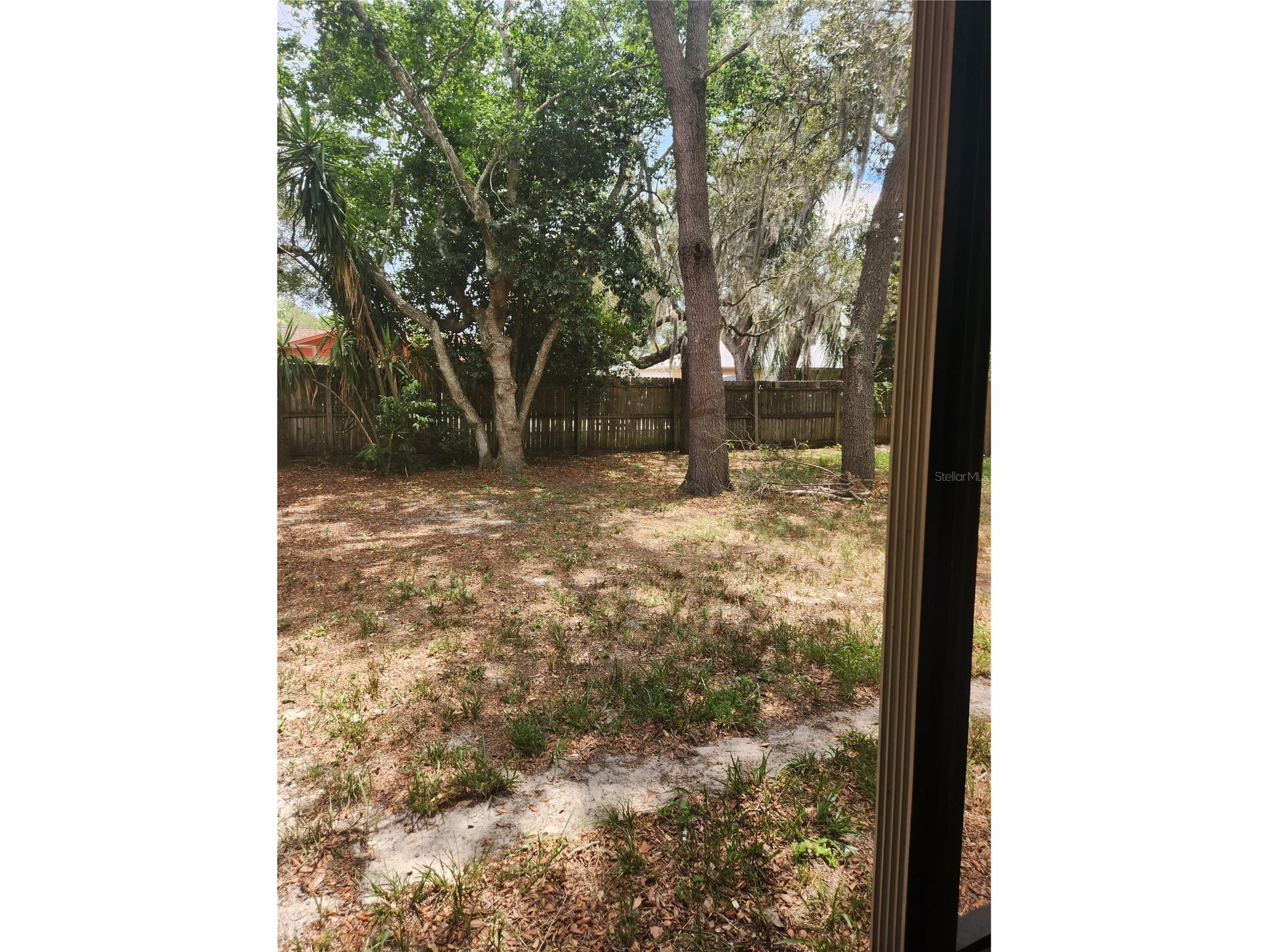 6202 Piedmont Drive Spring Hill FL 34606 TB8524128 image14