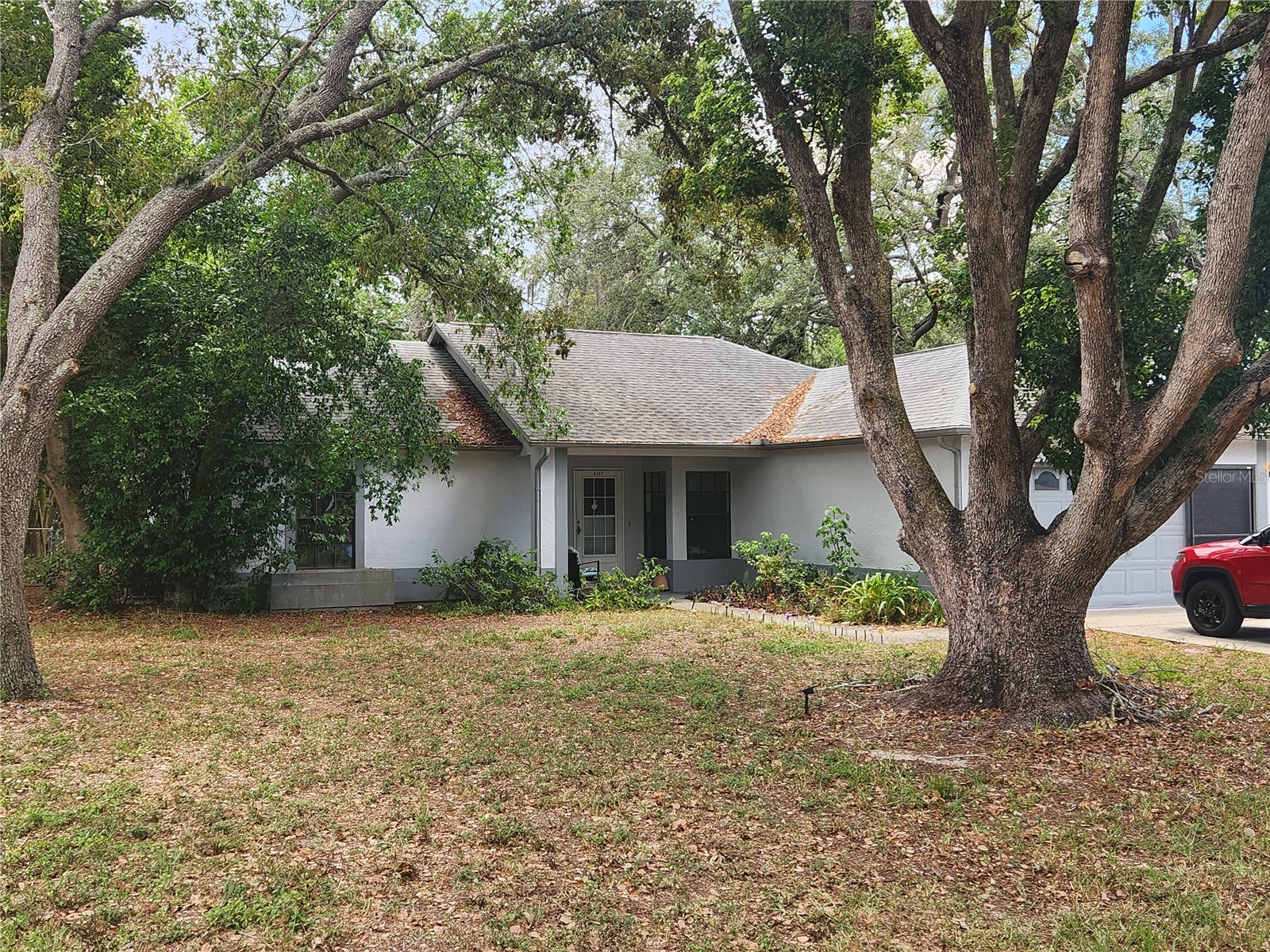 6202 Piedmont Drive Spring Hill FL 34606 TB8524128 image2