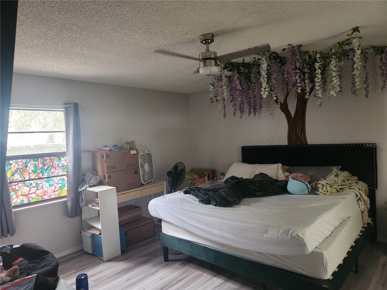 6202 Piedmont Drive Spring Hill FL 34606 TB8524128 image8