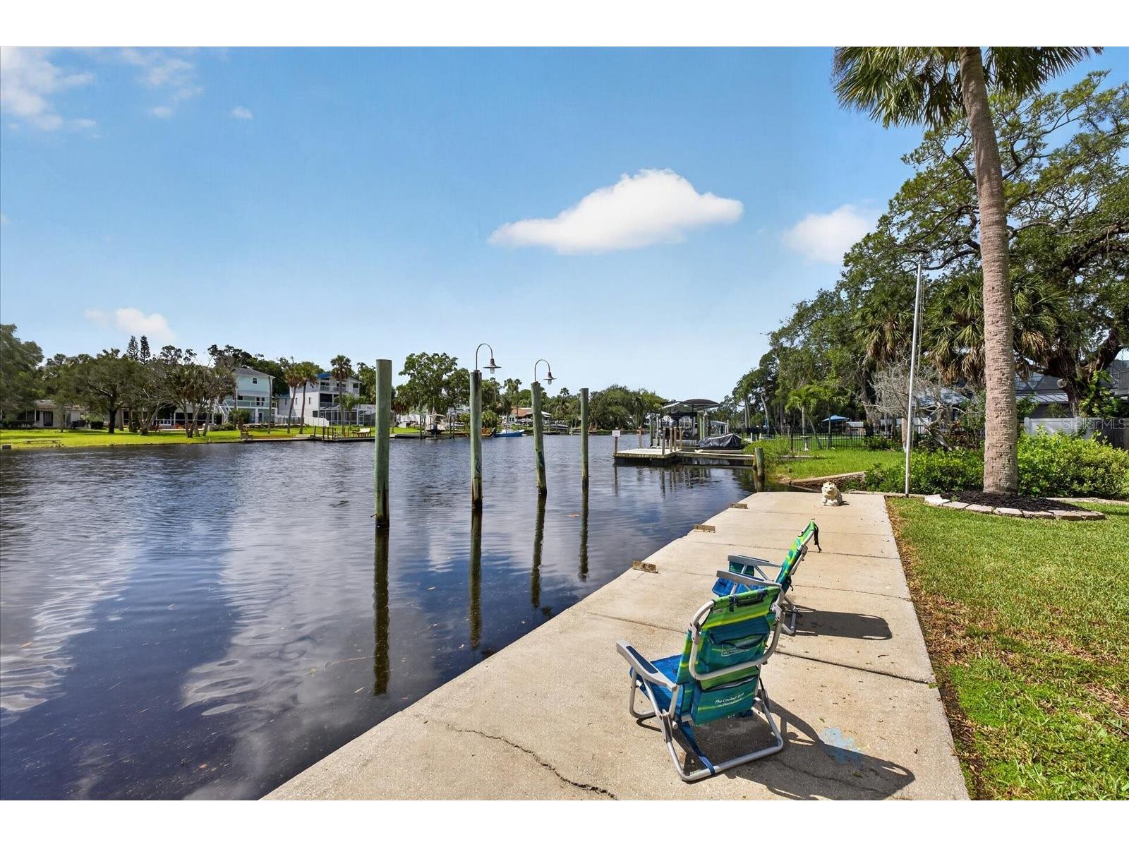 6202 River Road New Port Richey FL 34652 - PITHLACHASCOTEE RIVER W7886017 image50